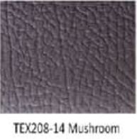 TEX208-14 Mushroom